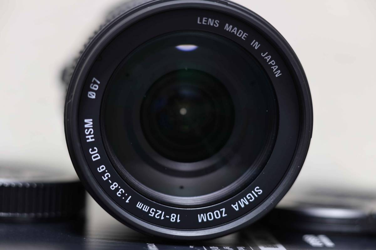 SIGMA 18-125mm F3.8-5.6 DC HSM Aマウント for SONY